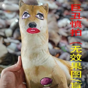 XIXI口 搞笑抽象定制抱枕宠物枕头丑猫狗定做白边异形玩偶靠垫