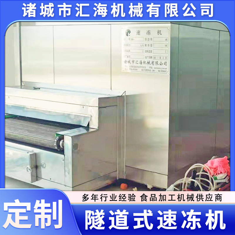 带鱼鸡翅隧道式速冻机大型商用水果蔬菜低温速冻设备隧道冷冻机