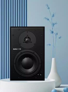 Dynaudio丹拿BM6A音棚专业音箱Hifi发烧书架音响单只