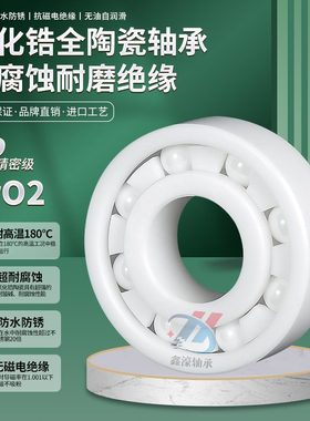 全陶瓷氧化锆防水轴承6912 6913 6914 6915 6916 6919 6920CE SH