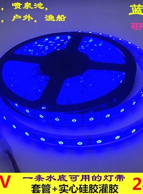 LED灯带12V蓝光5050高亮灌胶防水24V蓝色灯条鱼缸喷泉泳池水底用