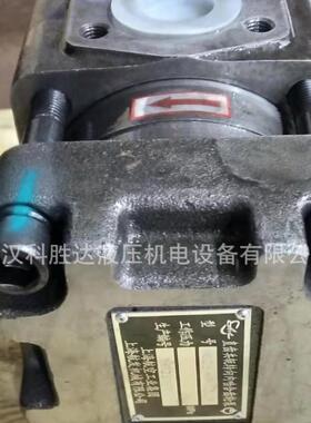 剪板机折弯机卷板机油压机高压内啮合NT4-D40FNT4-D50FNT4-D63F