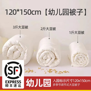 幼儿园a类大豆被儿童被子羽丝被120*150cm入园被芯春秋款四季通用