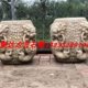 汉白玉仿古石凳做旧石雕鼓墩兽头石凳子狮子吊环鼓凳祥云绣墩石墩