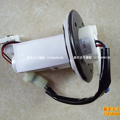 金鹏BJ500GS-A/TRK502/502X燃油泵组件 汽油泵油管组件