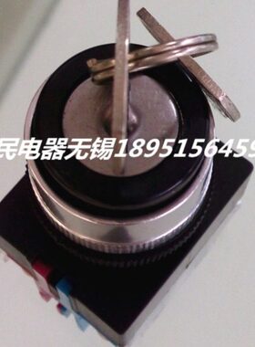 中国人民电器集团 按钮开关RDA37-11Y/2 二档带钥匙开关 安全开关