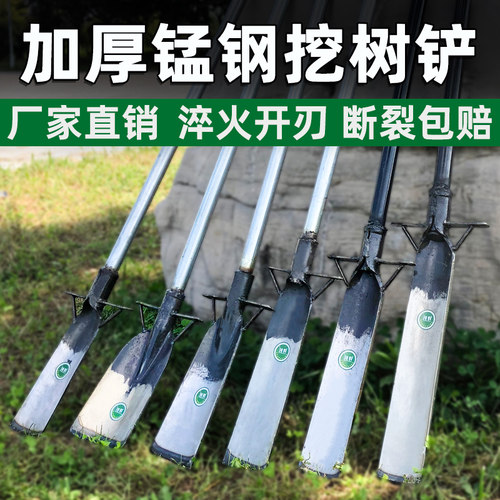 挖树铲子锰钢加厚洛阳移q起苗工具挖树根桩洞坑沟地土神器铁锹农