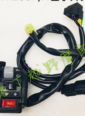 WR250R/X左右把座总成