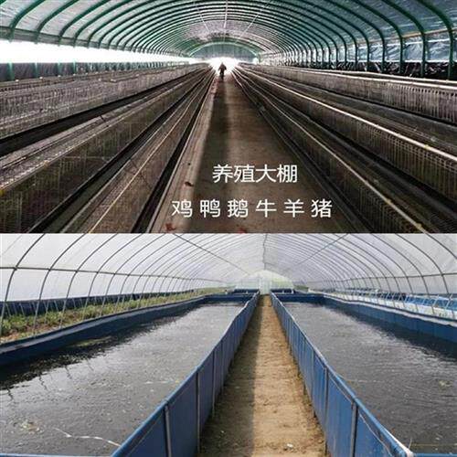 钢架防水养兔加强蔬钢温r用花舍大棚菜管骨架。草莓园养殖用品耐l