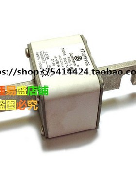 170M4764 170M4765 170M4766 170M4767 170M4768 170M4769熔断器