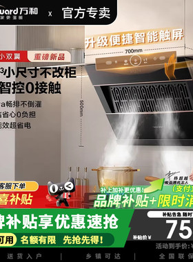 万和小双翼J320APro飓风卷吸侧吸抽排油烟机家用21风量小尺寸脱排