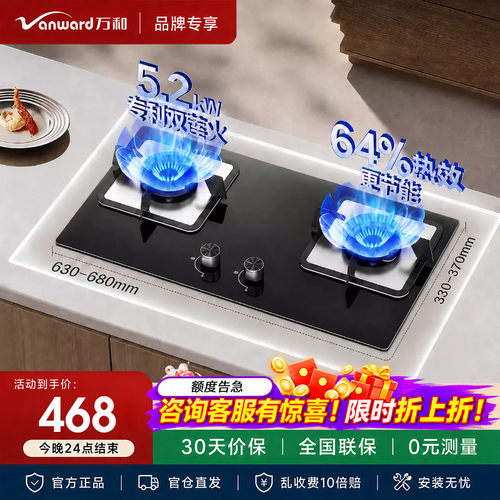 万和B9L50燃气灶5.2KW蓝莲花猛火钢化玻璃嵌入式双灶天然气家用