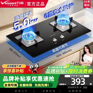 万和B7L51天然气燃气灶5kW猛火一级能效家用煤气双炉具台6重安防