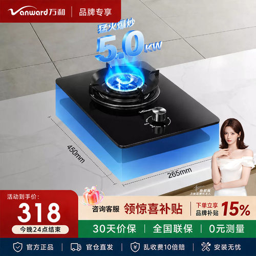 万和燃气灶单灶煤气灶天然气灶家用5.0KW火力单灶头E6L90租房必备