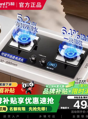 万和B9L50燃气灶5.2KW蓝莲花猛火钢化玻璃嵌入式双灶天然气家用