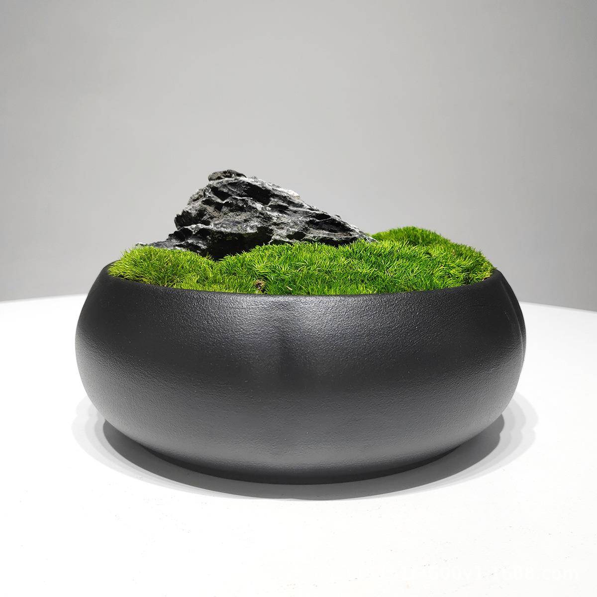 新中式永生青苔茶几桌面微景观苔藓盆景客厅装饰样板房摆设摆件品