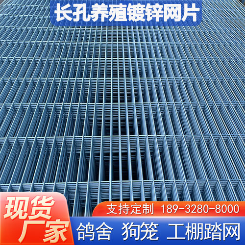 长孔镀锌铁丝网片狗笼鸽舍围栏踏网热镀锌养殖钢丝网加粗加密网格
