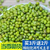 到手5斤 东北农家小绿豆新货可做绿豆汤发豆芽消暑易煮五谷杂粮