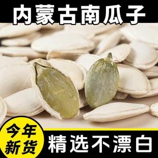 生南瓜子新货内蒙生南瓜籽炒货新鲜带壳生的白瓜子大片散装无漂白