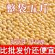 25年东北发豆芽 发黄豆芽专用豆黑龙江生豆牙小豆大黄豆 黄豆散装