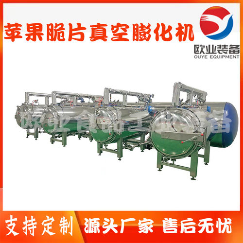 无花果真空膨化机 苹果脆片深加工流水线 绿火龙果加工设备