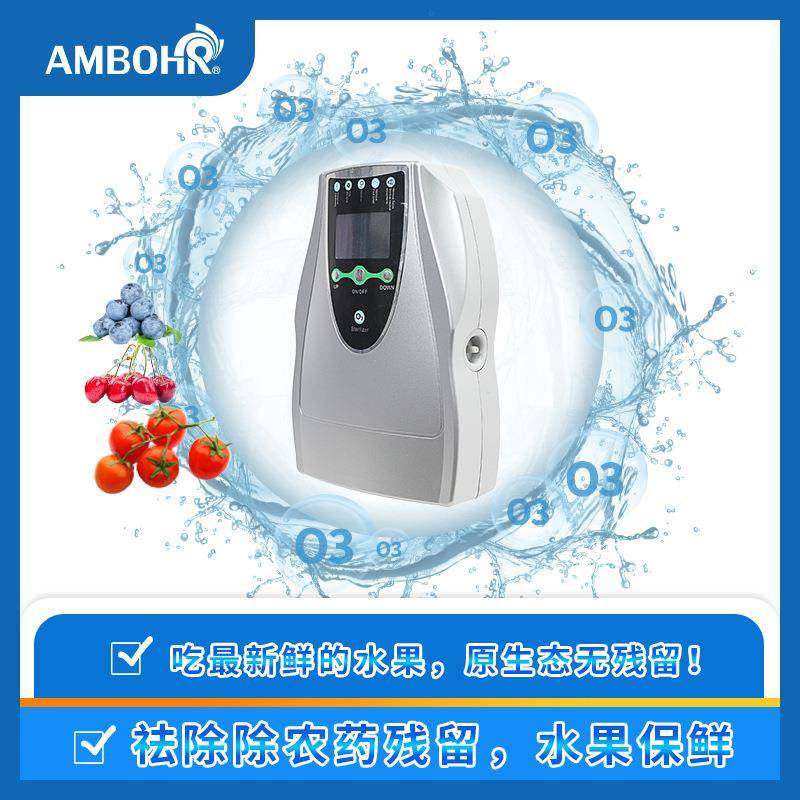 AM-503肉菜果蔬全自动小型便携清洗机食材多功能活氧清洗机