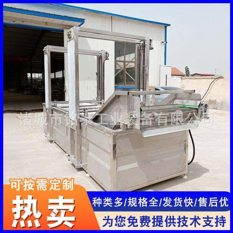 山楂韭菜气泡清洗机去除农药蔬菜洗菜机秋葵韭菜喷淋式清洗机