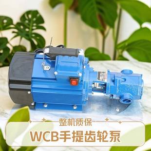 WCB齿轮泵耐磨损齿轮输油泵手提式 齿轮油泵