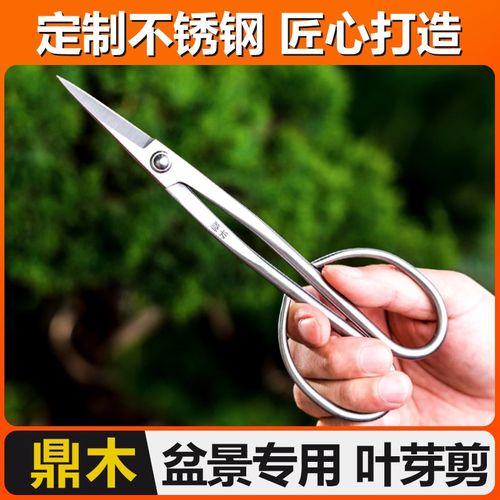 盆景叶芽剪园艺修枝尖头剪刀插花剪小枝叶剪盆栽制作造型用不锈钢