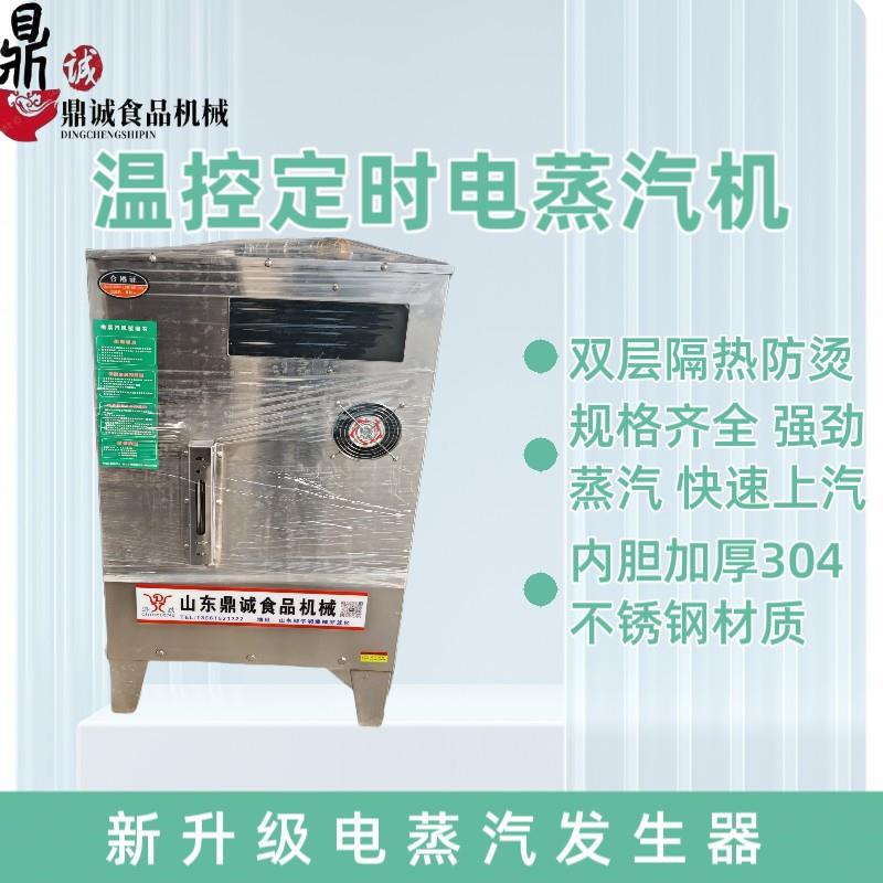 厂家直供蒸汽机电加热蒸汽炉工程桥梁养护蒸汽发生器