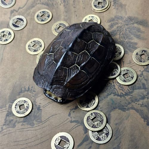 【差生文具多系列】天然金钱线龟壳完整爻卦道具摆件