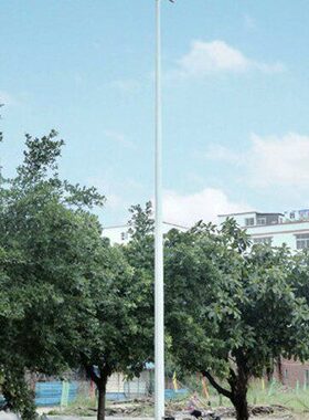 6米10米双头250W4s00W户外防水广场灯公园灯小区灯路灯高中杆灯