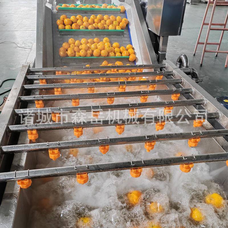 气泡式黄皮果清洗机柑橘保鲜全自动洗果机鸡心果芒果毛辊清洗机