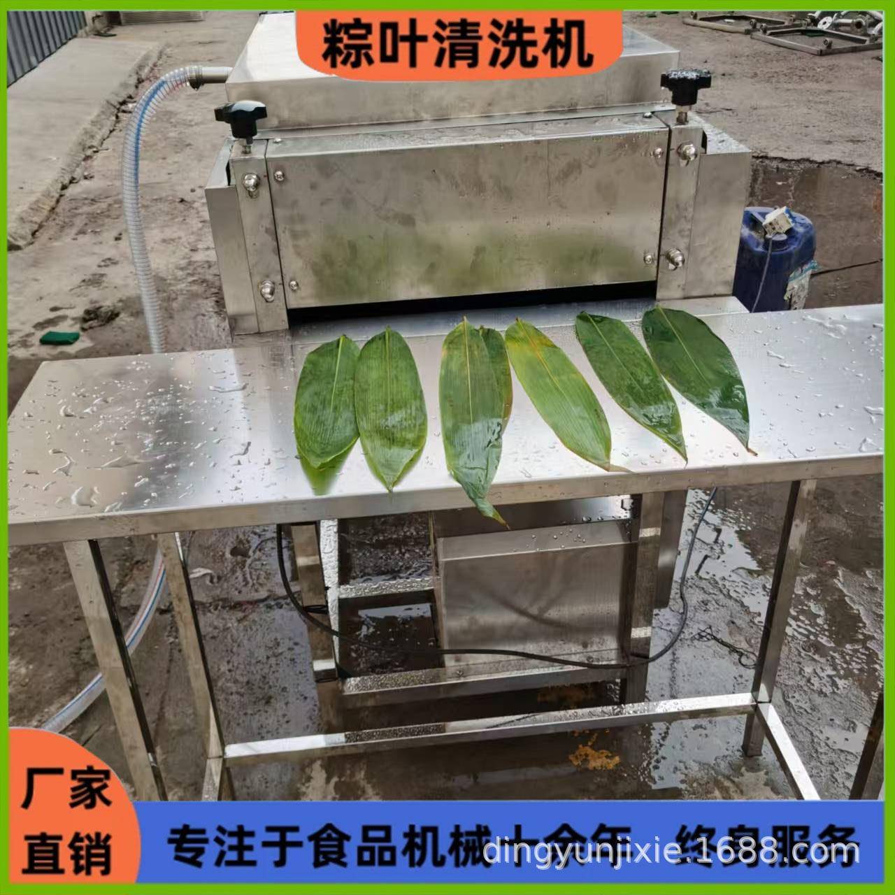 全自动粽叶清洗机荷叶苇叶玉米叶清洗设备双层毛刷双面清洗粽叶