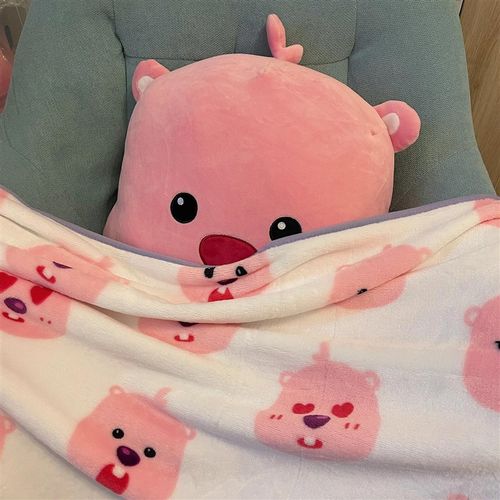 loppy午睡盖毯可爱小海狸露比空调被夏季学生宿舍午休薄被子毯子