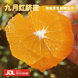 湖北秭归九月红果冻爆汁脐橙果肉细嫩摘现发新鲜橙子