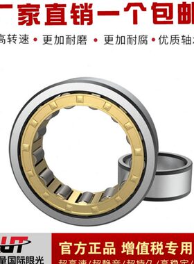 瑞典圆柱滚子替代进口轴承 102309 123100 EM 替代进口 品质保障