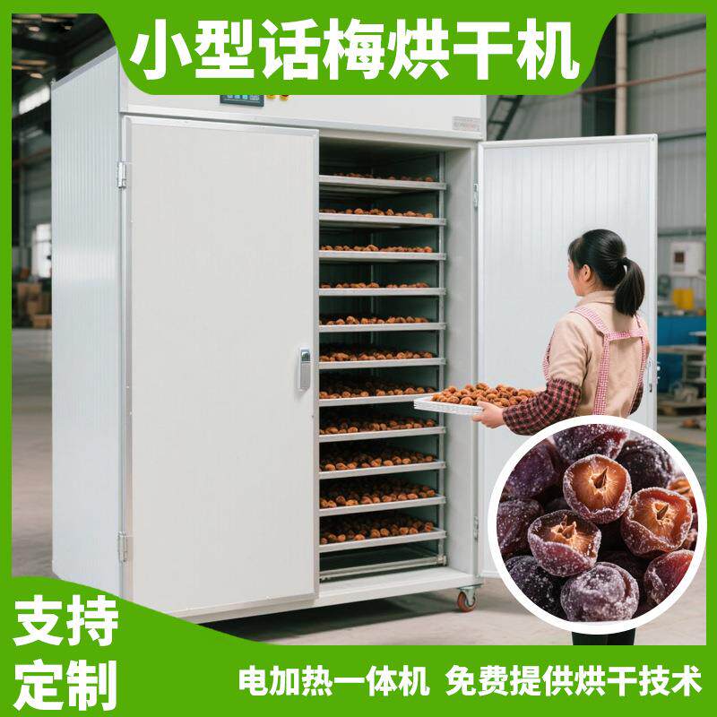 电加热酵素梅烘干机 情人梅子烘干箱 青梅果话梅烘干设备热风循环