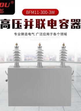 高压并联电容器BFM11-100-3W高压三相柱上就地补偿电力户外电容器