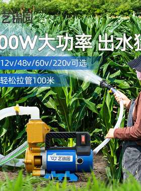 浇菜神器农用灌溉抽水机12V48V220V大功率自吸泵家用抽水泵浇水机