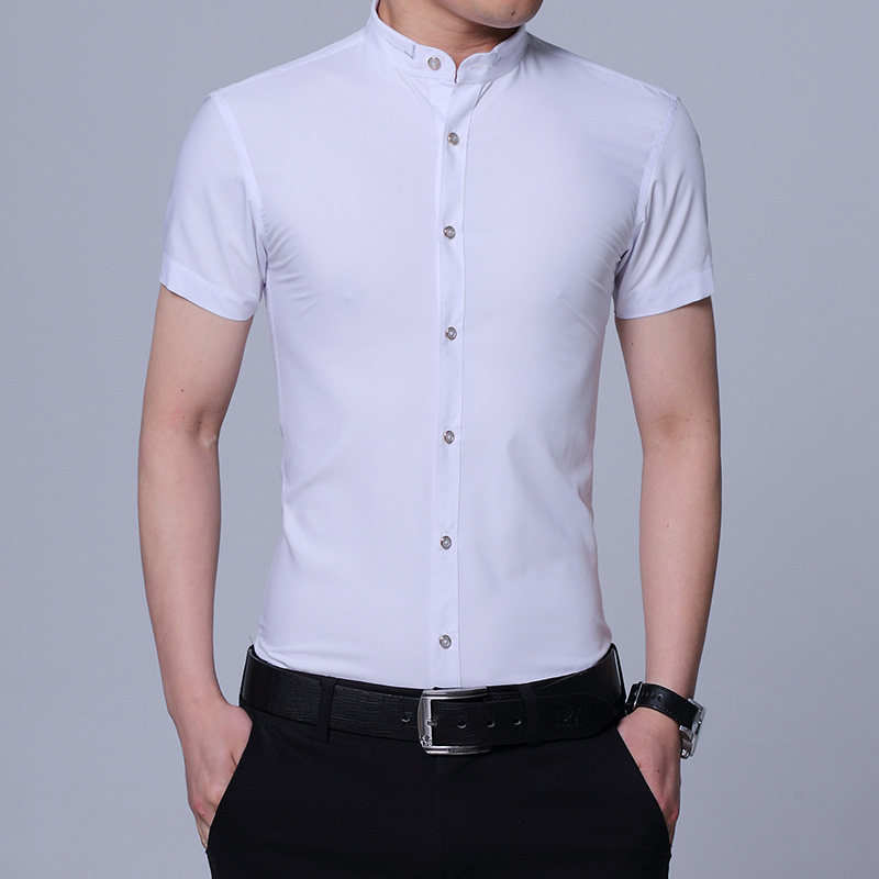 白色刺绣立领衬衫衣男中式婚礼主持人服短袖弹力村子衣直圆领衬衣,男装,衬衫,淘宝优惠券,粉丝福利购,淘宝优惠卷