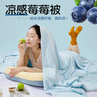 被子单人被芯 可机洗水洗冰丝薄款 凉感莓莓夏凉被夏季 空调被春秋款