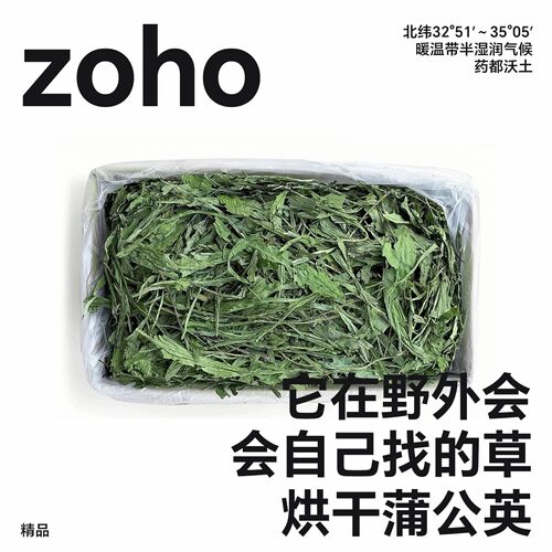 蒲公英叶兔子龙猫豚鼠保健草零食