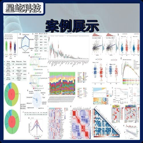 生信分析网络药理学生物信息学服务单细胞测序转录组GEO数据挖掘