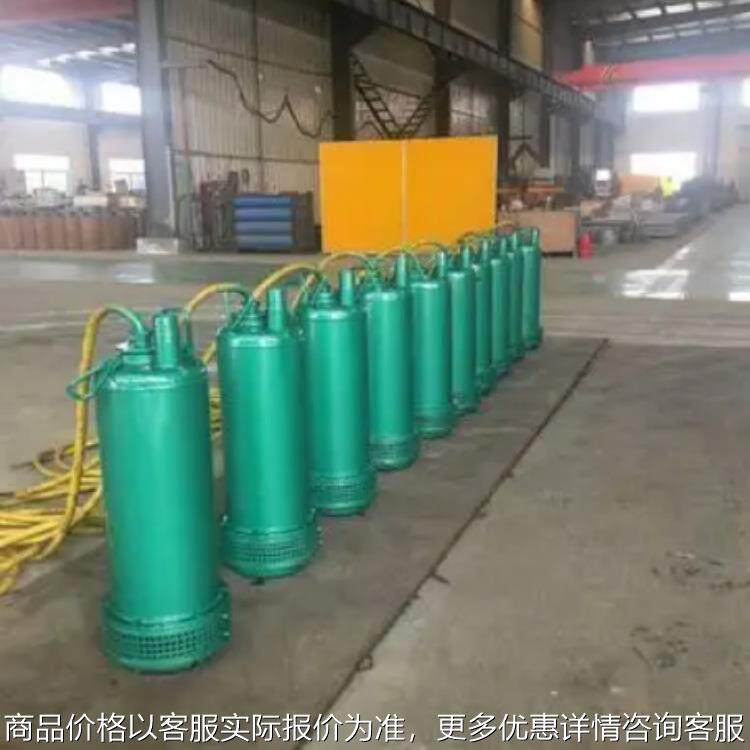 BQS20-40-5.5矿用隔爆型潜水排沙电泵 救灾抢险排水潜水排沙电泵