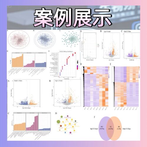 生信分析指导/单细胞转录组/数据挖掘代谢组微生物蛋白测序/R语言