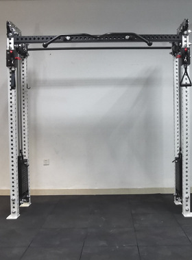 REP大飞鸟训练器高位下拉低位背精钢配重龙门架综合力量训练器械