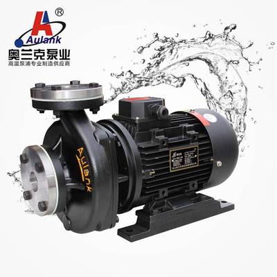 RGZ-10S单吸式高温热油循环泵 耐高温热油输送专用管道离心泵