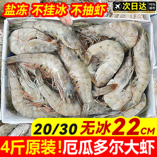 厄瓜多尔白虾大虾鲜活速冻盐冻2030南美白虾基围虾海虾对虾类海鲜