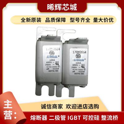 巴斯曼170M3987170H0236直流快速熔断器原装量大从优电子元器件